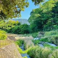 檜木內川河川綠地：自然與完美融合 🌳💧