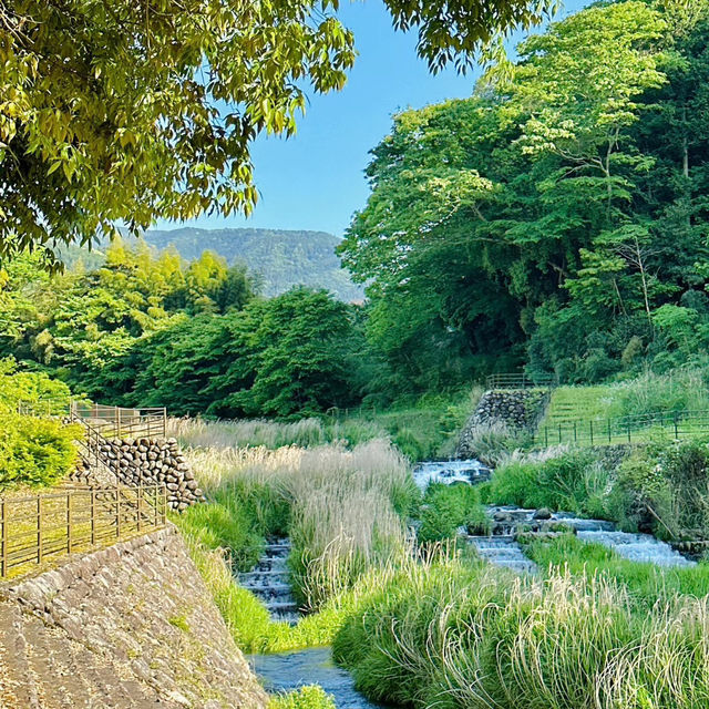 檜木內川河川綠地：自然與完美融合 🌳💧