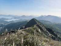 行山|三山連走馬鞍山、彎曲山、大金鐘