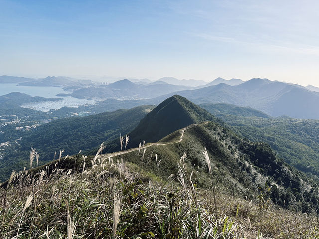行山|三山連走馬鞍山、彎曲山、大金鐘 行山|三山連走馬鞍山、彎曲山、大金鐘