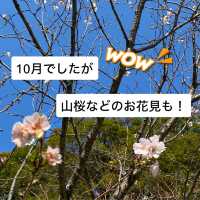 知多半島の旅　明治天皇縁の地　雁宿公園