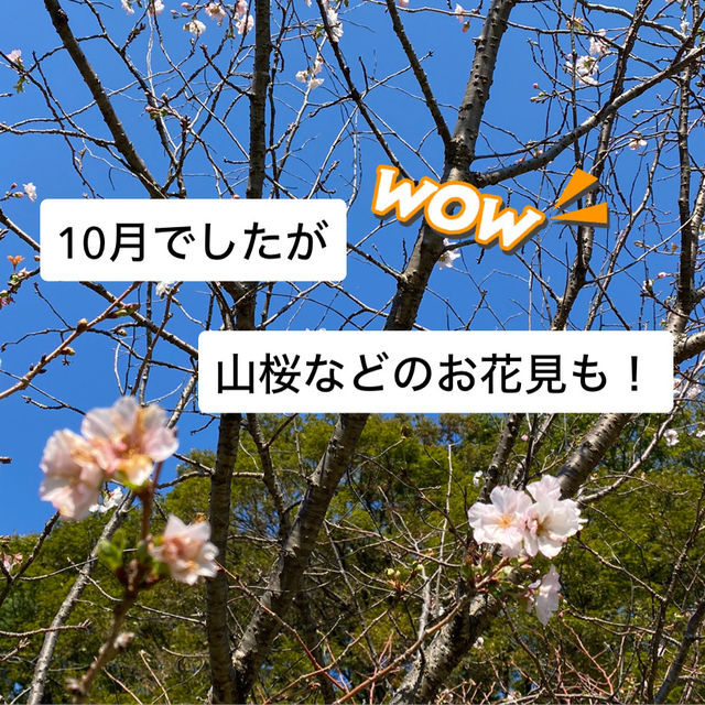 知多半島の旅　明治天皇縁の地　雁宿公園