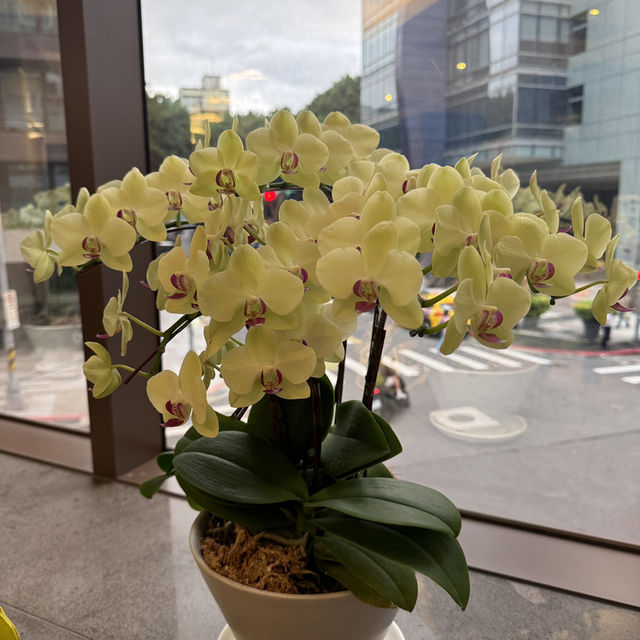 物美價廉的欣葉台菜創始店
