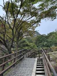 Fresh air and smell of pine trees in Bukhansan forest