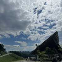 VISONの夏