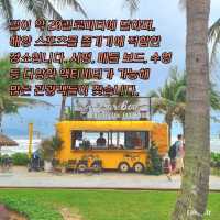 베트남 다낭 미케비치의 트립모먼트🇻🇳✈️