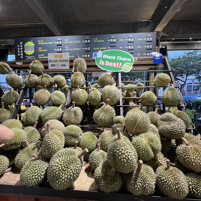 Must try Durian in Malaysia
