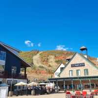 红黄绿的季节@Park City, Utah
