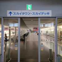 大きな展望デッキ「セントレア　スカイデッキ」