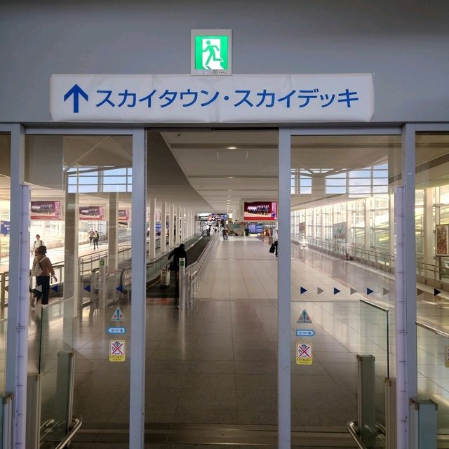 大きな展望デッキ「セントレア　スカイデッキ」