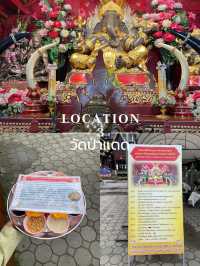 1 day trip เชียงใหม่ | เที่ยว กิน มู ครบจบในวันเดี