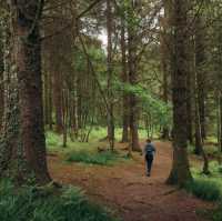 Conic Hill 圓錐山 格拉斯哥附近的輕鬆郊遊路線