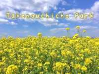 Takenouchicho Park ทุ่งดอกคาโนล่า จ.นารา