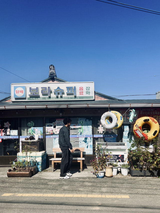ตามหาหัวหน้าฮง….ที่โพฮัง 😍🇰🇷
