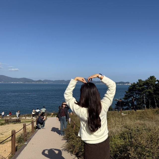 바람과 풍차가 빚어낸 동화 속 풍경, 거제 바람의 언덕🎑