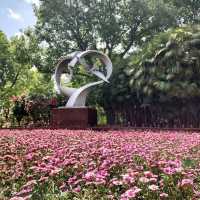 Green Lake Park : สวนใหญ่ใจกลาง Kunming