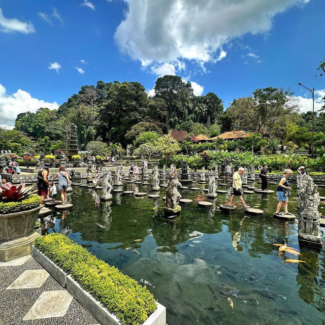 Enchanting Waters of Tirta Gangga