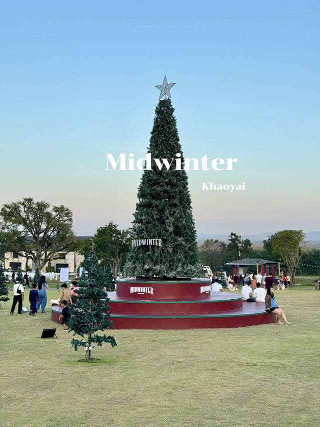 ถ่ายรูปต้นคริสต์มาสที่ Midwinter เขาใหญ่ 🎄