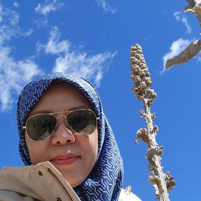 Beautiful  view..