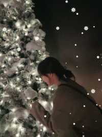 香港🇭🇰 ｜進入香奈兒聖誕的冬日童話🎄