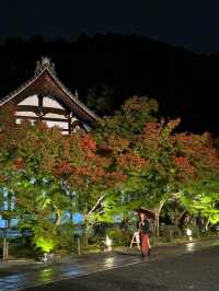 夜觀楓葉