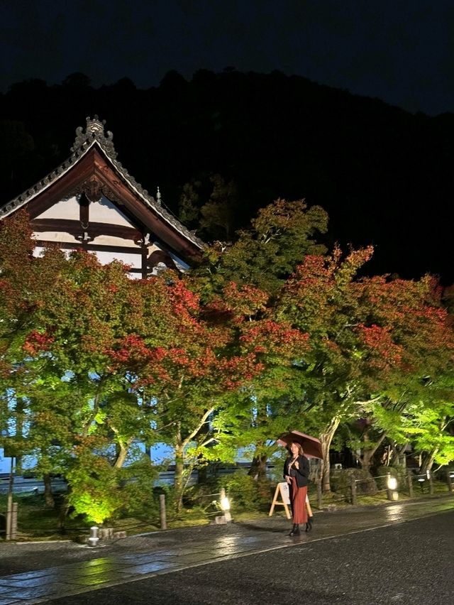 夜觀楓葉