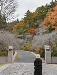 【滋賀】季節を感じる美術館！MIHO MUSEUM