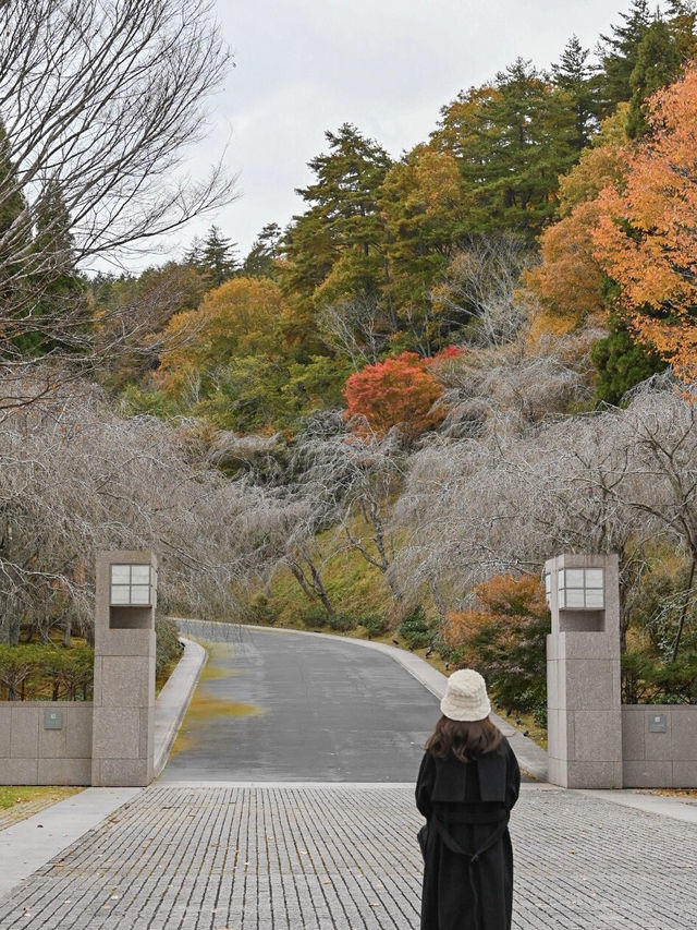 【滋賀】季節を感じる美術館！MIHO MUSEUM