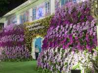  Chiang Rai Flower Festival: A Springtime Delight