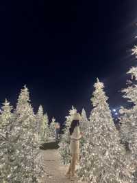 부산에서 만나는 눈 내리는 화이트 트리숲!✨