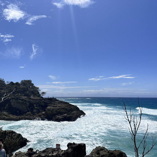 Fraser Island Day Trip 