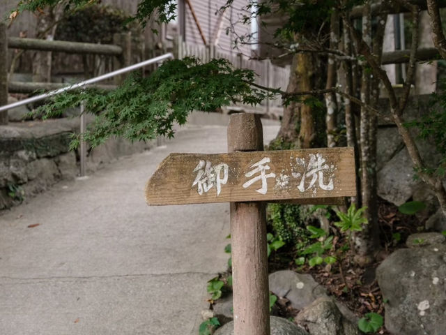 志賀島神社行程全攻略🥰超推薦❤️