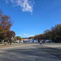 Ueno Park2024