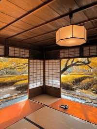 景點推薦：松風園——福岡黃葉季的靜謐庭園之美