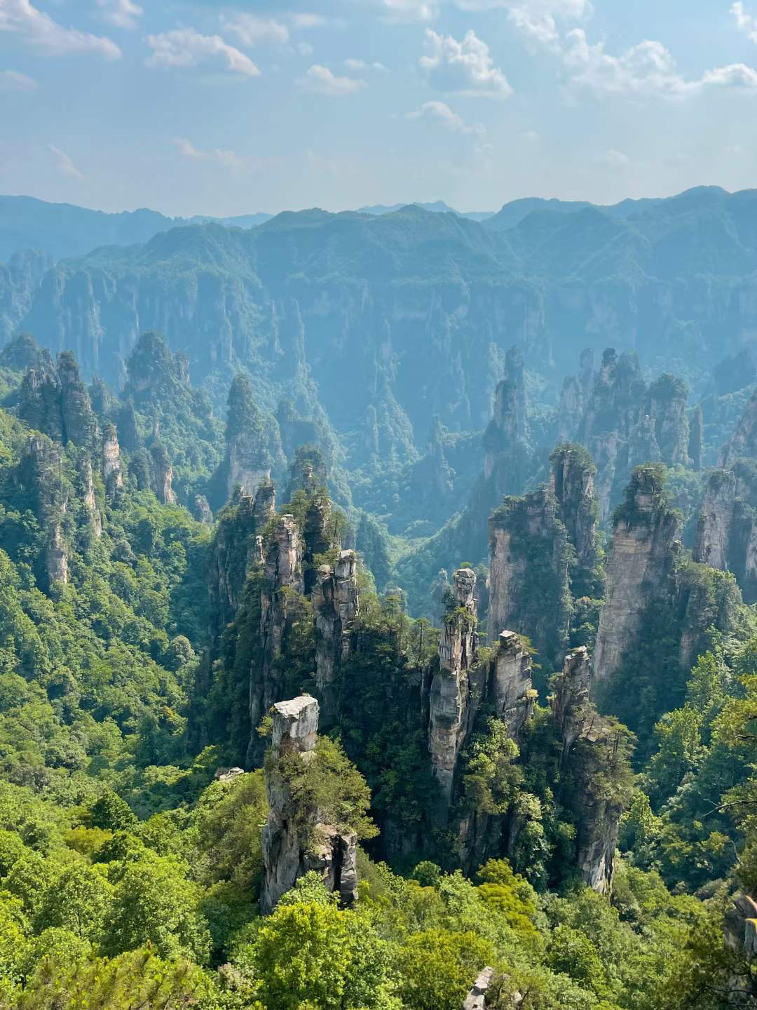 Shenyang National Forest Park