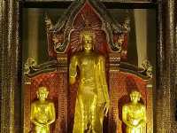 พาคุณพ่อแอ่วเหนือ..วัดเจดีย์หลวง