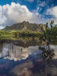 5 Reasons You Need to Visit Hawaii (Straight from Santa’s List!)🎅