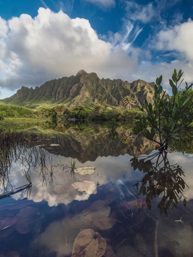 5 Reasons You Need to Visit Hawaii (Straight from Santa’s List!)🎅