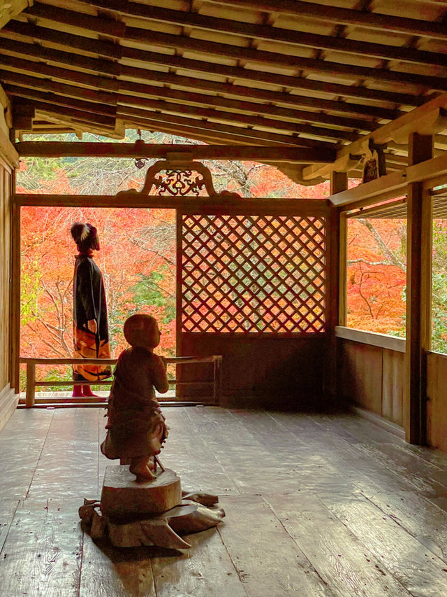 京都観光😊京都の古刹🍁世界遺産のお寺😊