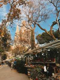 Barcelona in a Blink - Unmissable Stunning Sights