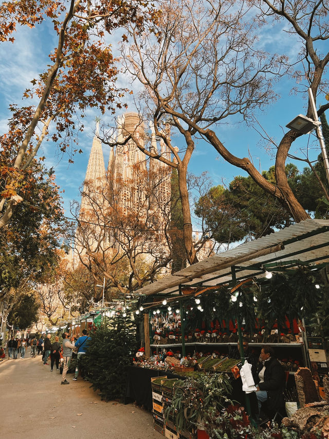 Barcelona in a Blink - Unmissable Stunning Sights