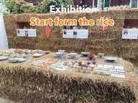 นิทรรศการ “Start form the rice” 