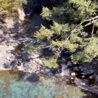 Discover the beauty of Wuling Farm in Taiwan