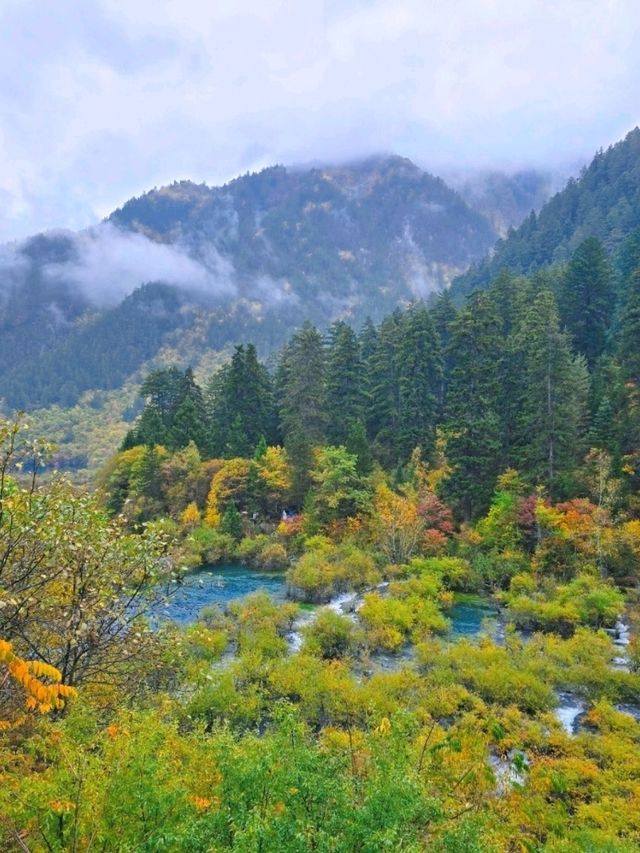 ดูใบไม้เปลี่ยนสีต้องมาที่จิ่วจ้ายโกว🇨🇳🍂🍁