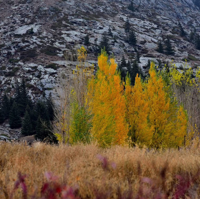 可可托海稀有金屬國家礦山公園 可可托海稀有金屬國家礦山公園