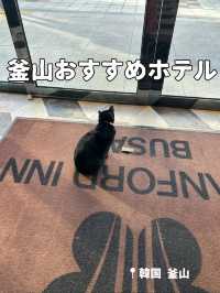 【釜山ホテル】立地が良くて日本語対応の快適なホテル🐈‍⬛