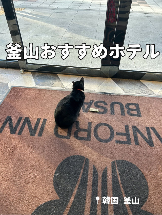 【釜山ホテル】立地が良くて日本語対応の快適なホテル🐈‍⬛