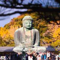 Kamakura Daibatsu