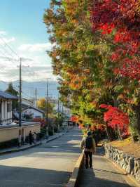 京都楓葉王國！我只服東福寺🍁