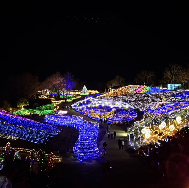 🇯🇵【香川県】国営さぬきまんのう公園！イルミネーション